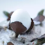Logis Restaurant Gilles Moreau ホテル ラギオール
