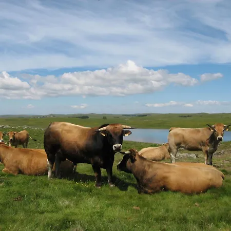 Logis Restaurant Gilles Moreau 호텔 라귀올르