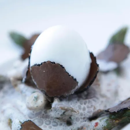 Logis Restaurant Gilles Moreau Отель Лайоль
